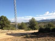 Terreno en Venta en Jumilla