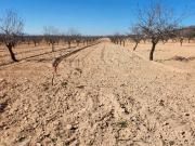 Terreno en Venta en Jumilla