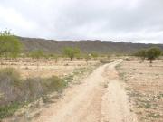 Terreno en Venta en Jumilla
