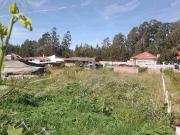 Terreno en venta en la Av. Ordóñez Lasso, diagonal a la...