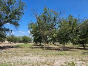Terreno en venta en La Barranca, Torreón, Coahuila de...