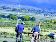 Terreno en Venta en La Carrera, Tupungato. Mejor Precio...