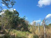 Terreno en venta en La Ceiba II