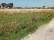 Terreno en venta en la constitución Totoltepec