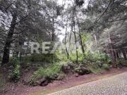 Terreno en Venta en La Cuadrilla Rio Hondito Ocoyoacac...