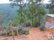 Terreno en Venta en La Garita, San Cristóbal de las Casas