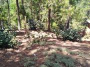 Terreno en venta en La Garita, San Cristóbal de Las...