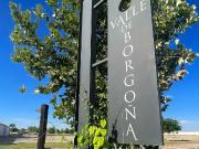 TERRENO EN VENTA EN LA GRAN VINICOLA GOMEZ PALACIO DGO