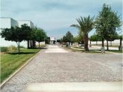 Terreno en venta en La Gran Vinícola, Gómez Palacio, Durango