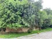 Terreno en venta en La Herradura Sección III,...