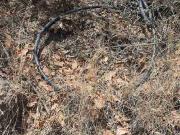 TERRENO EN VENTA EN LA JOYA CAMPESTRE HARAS CIUDAD ECOLOGICA