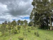 Terreno en venta en La Ladera, Amealco de Bonfil, Querétaro
