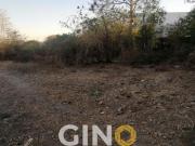 Terreno EN VENTA en La lima Culiacán