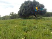 Terreno en Venta en La Línea de la Concepción