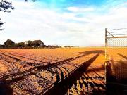Terreno en venta en La Mojonera, Zapopan, Jalisco