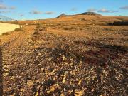 Terreno en Venta en La Oliva