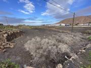 Terreno en Venta en La Oliva