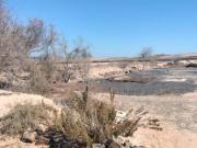 Terreno en Venta en La Oliva