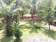 Terreno en Venta en La palma Sector La Mojina Terreno en Venta en La palma Sector La Mojina