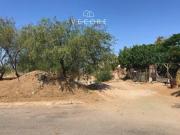 TERRENO EN VENTA EN LA PAZ, BAJA CALIFORNIA SUR TERRENO EN VENTA EN LA PAZ, BAJA CALIFORNIA SUR