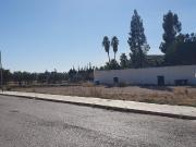 Terreno en Venta en La Pobla de Vallbona