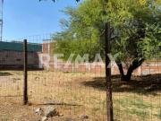 Terreno en venta en La Pradera 4