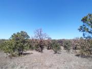 Terreno en Venta en La Primavera Ex Hacienda La Primavera