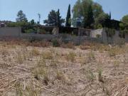 Terreno en Venta en La Purificación, Texcoco