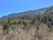 Terreno en Venta en La Purisima Arteaga Gran Oportunidad