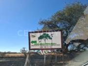 Terreno en venta en La Rinconada, Agostaderito