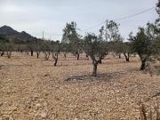Terreno en venta en La Romana