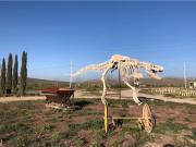 Terreno en venta en La Rosa, General Cepeda, Coahuila de...