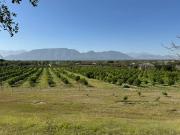 Terreno en venta en La Union, Cadereyta Jiménez, Nuevo León