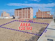 Terreno En Venta En La Urbanizacion Los Ficus Pimentel...