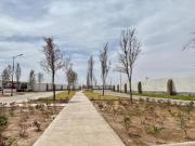 TERRENO EN VENTA EN LABARRANCA TORREON COAHUILA