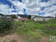Terreno en Venta en Lagos de Maria Eugenia, San...