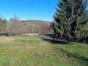 Terreno en Venta en Lalín