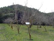 Terreno en venta, en L'Ametlla de Mar