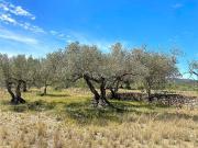 Terreno en Venta en L'Ametlla de Mar