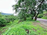 Terreno en venta en Las Cañadas Bosques de San Isidro,...