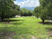 TERRENO EN VENTA EN LAS JARAS, CARRETERA NACIONAL