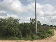 Terreno en Venta en Las Quintas Cholul