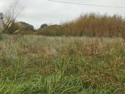 Terreno En Venta En Las Toninas, De La Costa