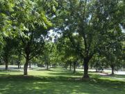 Terreno en venta en las villas, Torreón, Coahuila de...