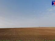 Terreno en Venta en Lebrija Terreno en Venta en Lebrija