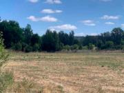 Terreno en venta en León