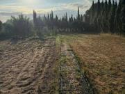 Terreno en Venta en L'Escala