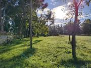 Terreno en venta en Lisandro Olmos