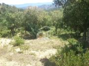 Terreno en Venta en Llagostera