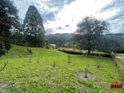 terreno en venta en llanogrande. Cod V6382